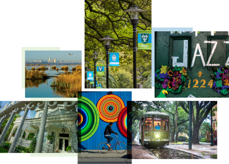 A photo collage of beautiful places around New Orleans, such as streets, lake views, streetcars passing on St. Charles Avenue, and picturesque city details.