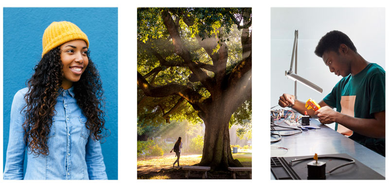 A photo collage of a woman smiling, a large oak tree, and a student working at a desk