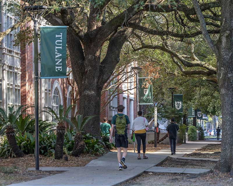 Tulane University campus with students walking on a sidewalk under oak trees. Links to Tools and Reports