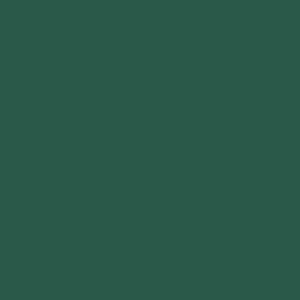 large color swatch of Tulane green