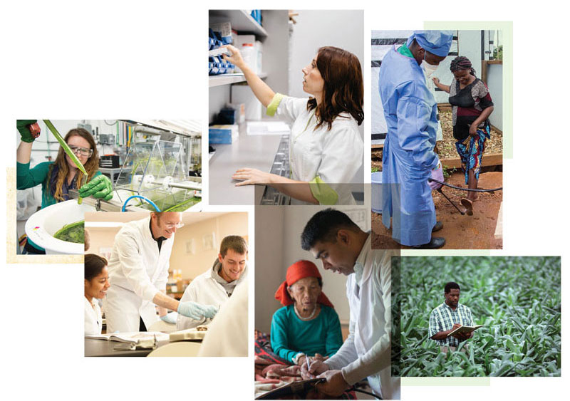 A photo collage of high-impact vibrant photography, of crawfish, musicians, artists, medical research and Tulane signs. 