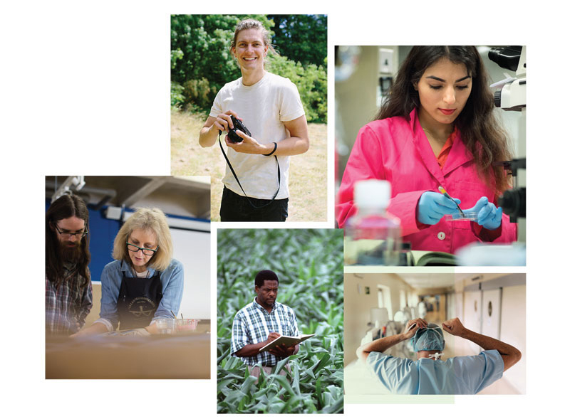 A photo collage of various people at Tulane and around New Orleans, including some playing with bubbles and others posed in front of doors and chalkboards.