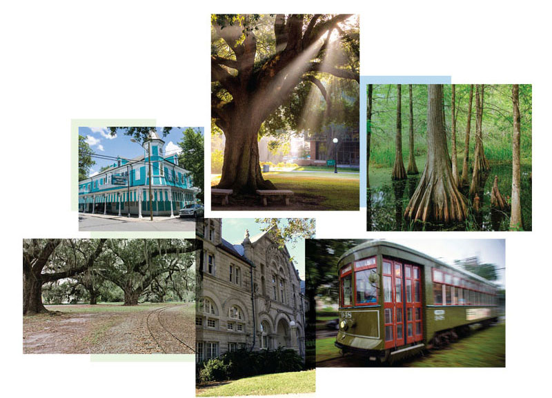 A photo collage of beautiful places around New Orleans, such as streets, lake views, streetcars passing on St. Charles Avenue, and picturesque city details.