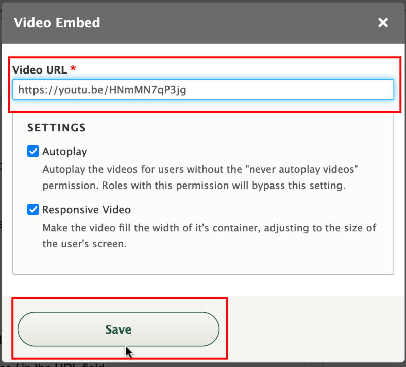 Screenshot of Video Embed dialog box