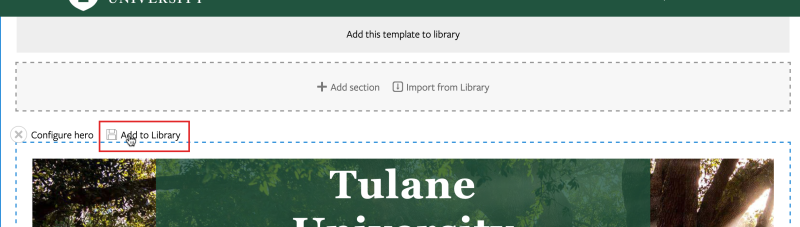 Screenshot of adding section to template library