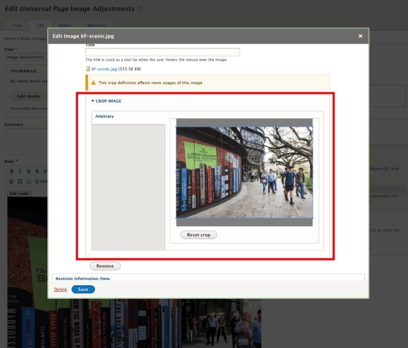 Screenshot of Crop Image interface