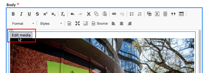 Screenshot of cursor hovering over Edit Media button