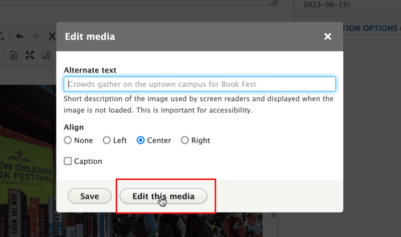 Screenshot of the Edit Media modal window