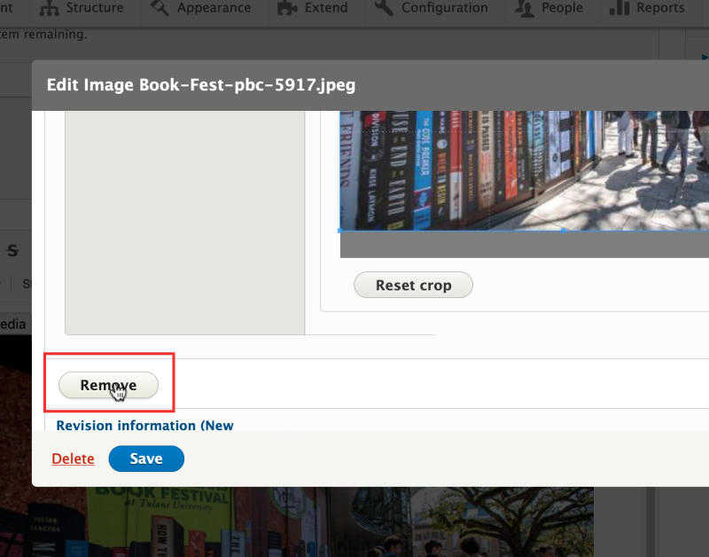 Screenshot of Remove button in Edit Image modal window