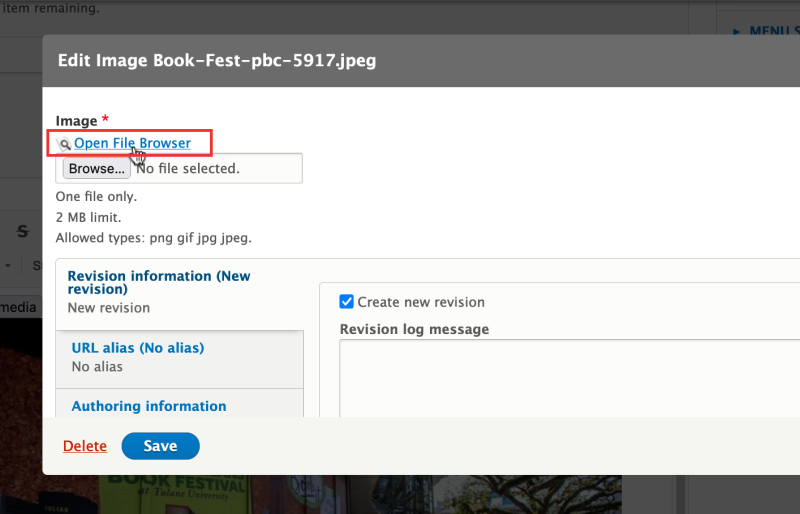 Screenshot of Open File Browser interface