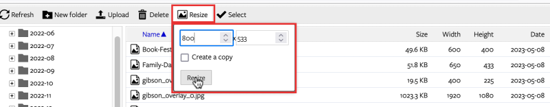 Screenshot of the Resize button interface