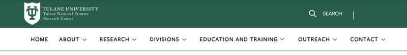 Screenshot of a site's primary navigation.