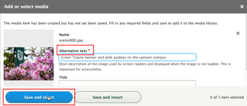 Screenshot of Alternative text and title fields