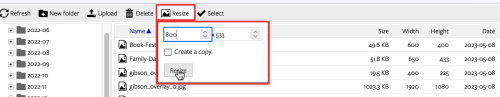 Screenshot of the Resize button interface