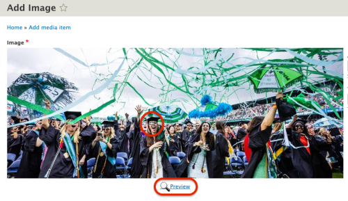 Focal Point Preview example screenshot