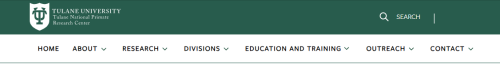 Screenshot of a site's primary navigation.